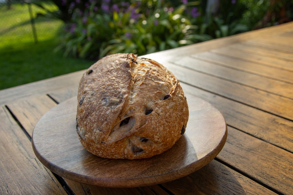Sourdough bread Olive & Thyme Open Oven Bakery